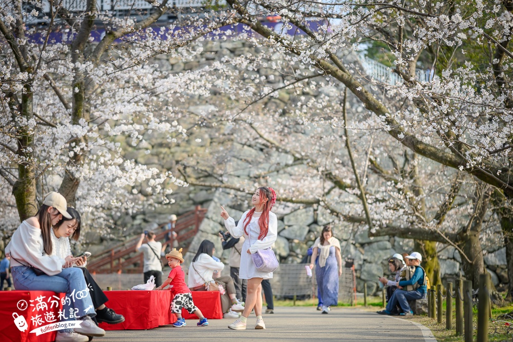 2025福岡【舞鶴公園櫻花季】最新花況!福岡城跡點燈&大濠公園,穿和服賞櫻超好看!