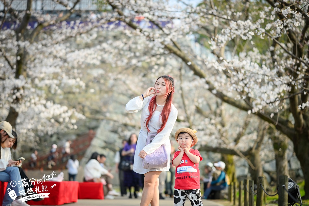 2025福岡【舞鶴公園櫻花季】最新花況!福岡城跡點燈&大濠公園,穿和服賞櫻超好看!