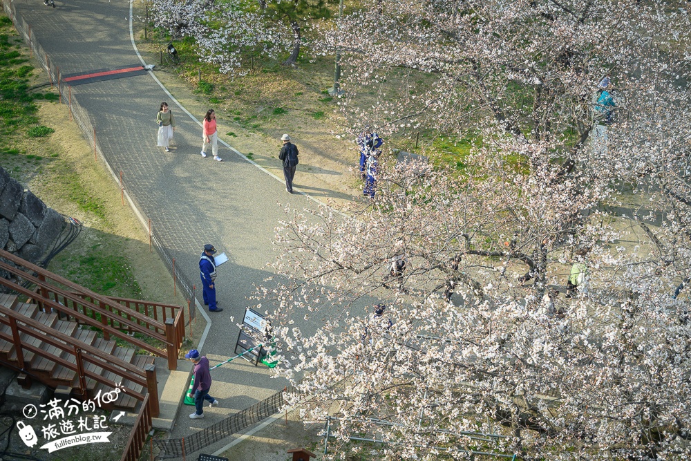 2025福岡【舞鶴公園櫻花季】最新花況!福岡城跡點燈&大濠公園,穿和服賞櫻超好看!