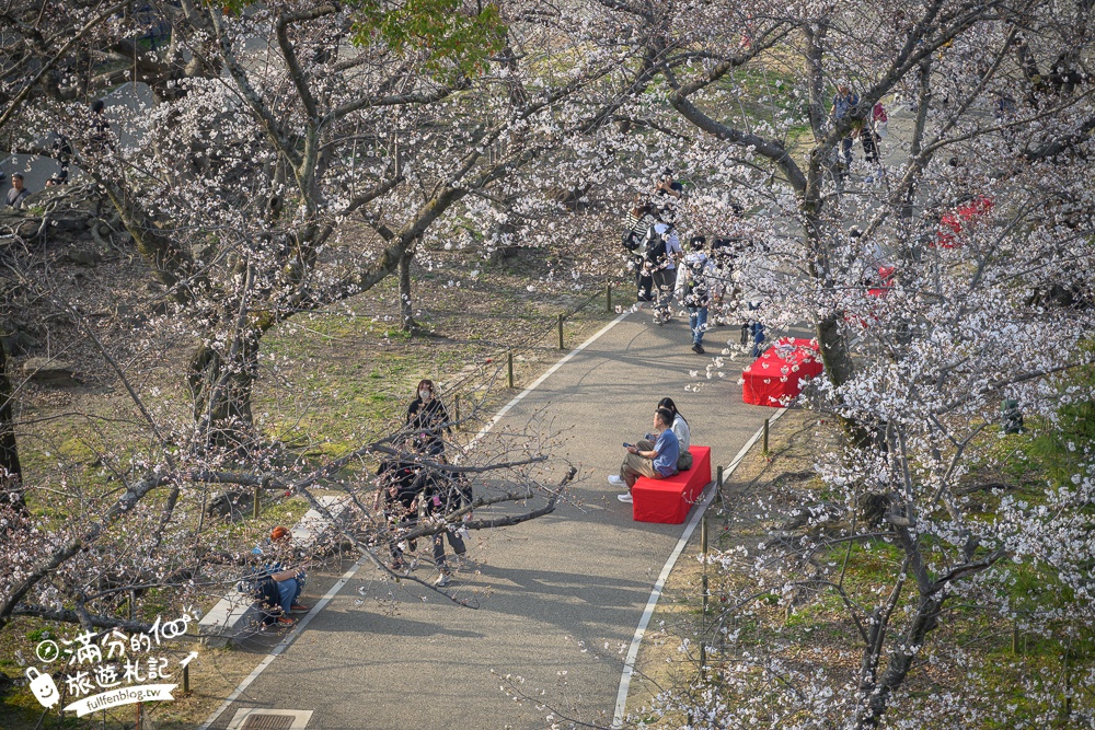 2025福岡【舞鶴公園櫻花季】最新花況!福岡城跡點燈&大濠公園,穿和服賞櫻超好看!