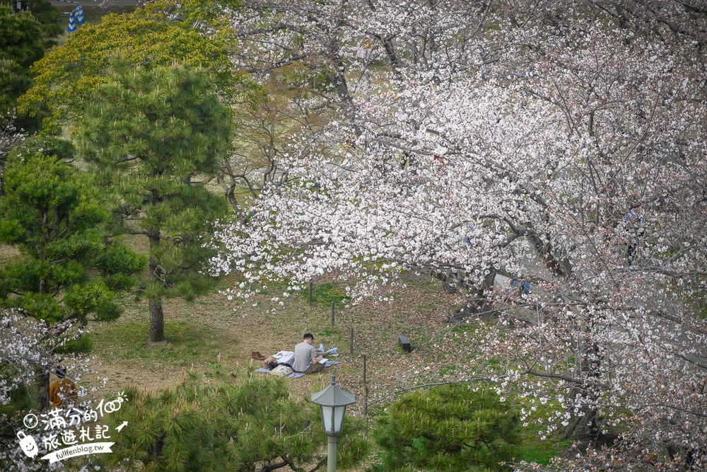 2025福岡【舞鶴公園櫻花季】最新花況!福岡城跡點燈&大濠公園,穿和服賞櫻超好看!