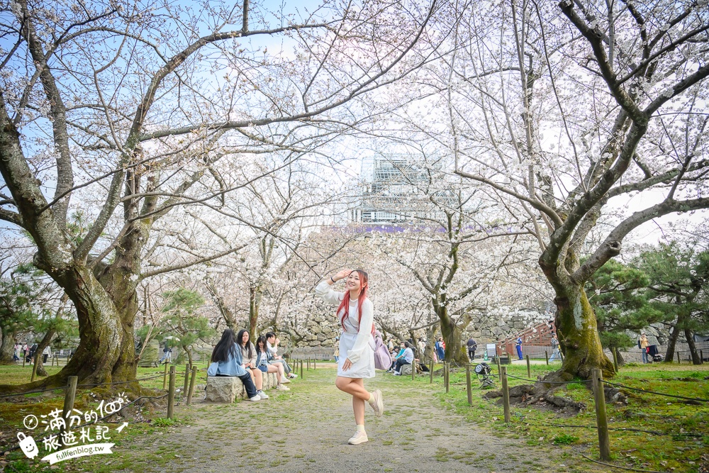2025福岡【舞鶴公園櫻花季】最新花況!福岡城跡點燈&大濠公園,穿和服賞櫻超好看!