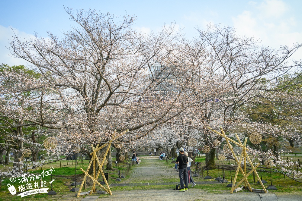 2025福岡【舞鶴公園櫻花季】最新花況!福岡城跡點燈&大濠公園,穿和服賞櫻超好看!