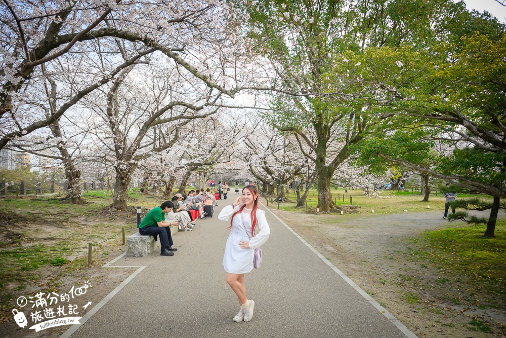 2025福岡【舞鶴公園櫻花季】最新花況!福岡城跡點燈&大濠公園,穿和服賞櫻超好看!