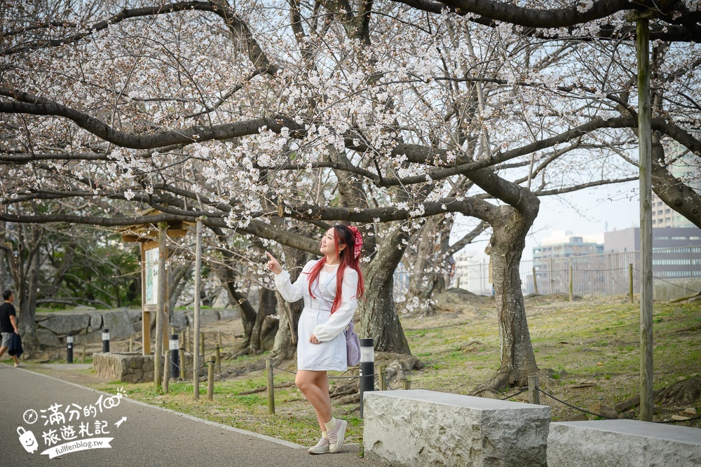 2025福岡【舞鶴公園櫻花季】最新花況!福岡城跡點燈&大濠公園,穿和服賞櫻超好看!