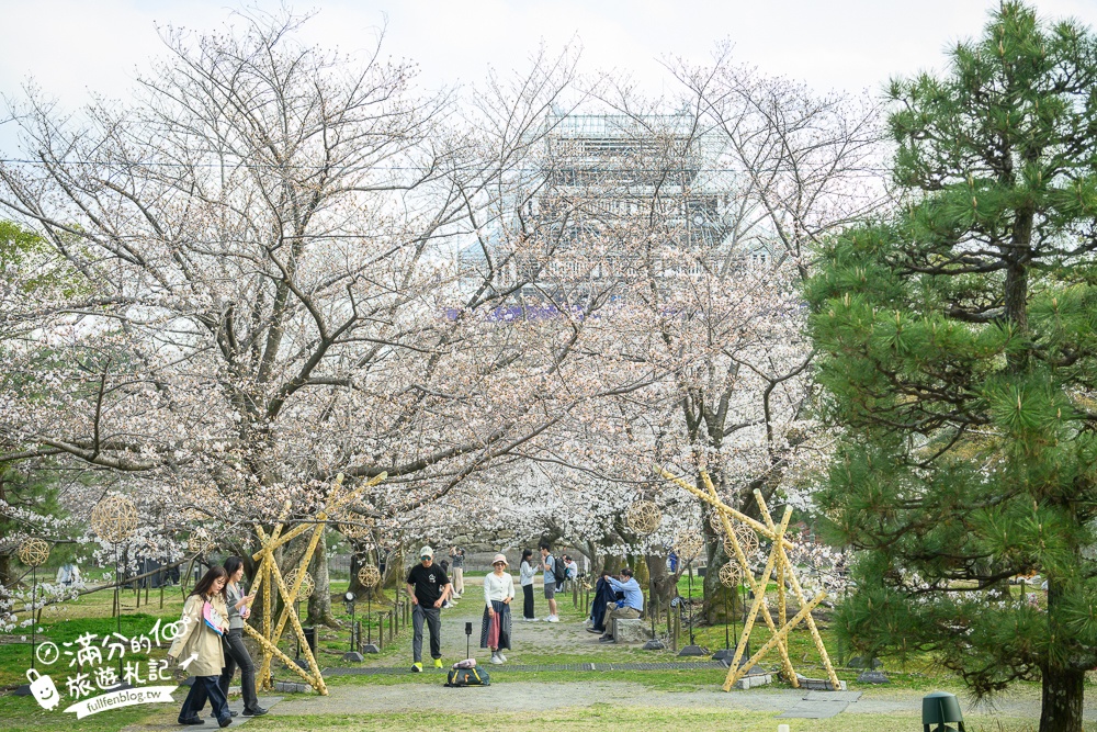 2025福岡【舞鶴公園櫻花季】最新花況!福岡城跡點燈&大濠公園,穿和服賞櫻超好看!