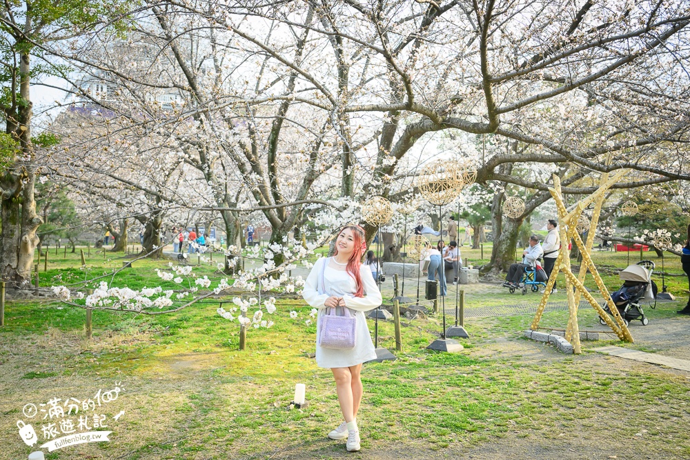 2025福岡【舞鶴公園櫻花季】最新花況!福岡城跡點燈&大濠公園,穿和服賞櫻超好看!