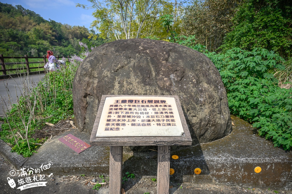 南投【清水溝溪麝香木花道】近瑞龍宮的麝香木花瀑布.麝香木花谷好震撼,綿延2公里的麝香木花道免費看!
