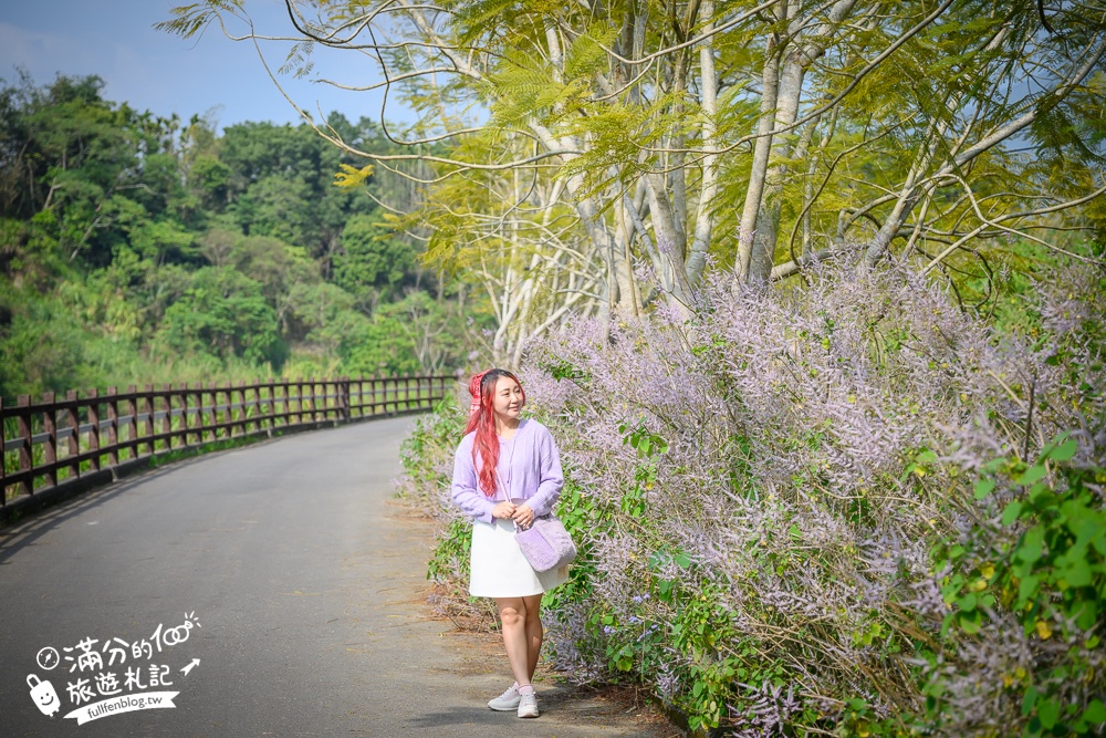 南投【清水溝溪麝香木花道】近瑞龍宮的麝香木花瀑布.麝香木花谷好震撼,綿延2公里的麝香木花道免費看!