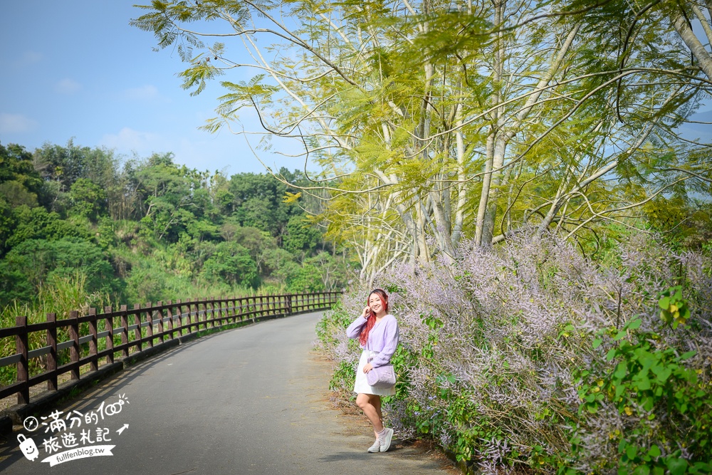 南投【清水溝溪麝香木花道】近瑞龍宮的麝香木花瀑布.麝香木花谷好震撼,綿延2公里的麝香木花道免費看!
