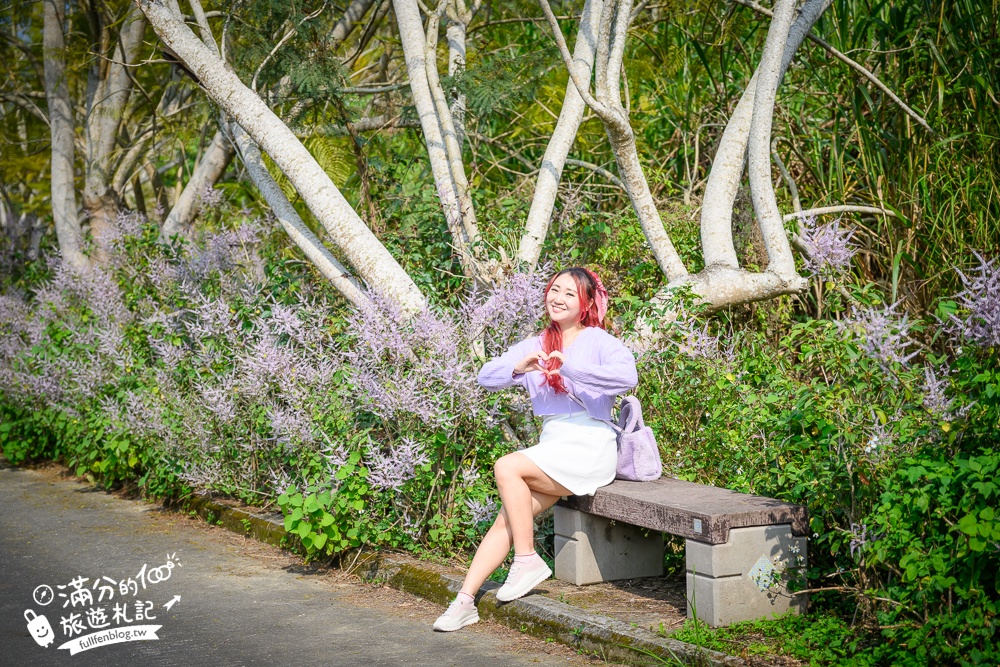 南投【清水溝溪麝香木花道】近瑞龍宮的麝香木花瀑布.麝香木花谷好震撼,綿延2公里的麝香木花道免費看!
