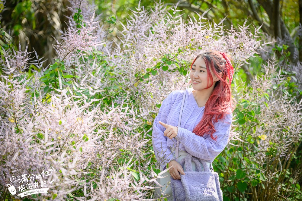 南投【清水溝溪麝香木花道】近瑞龍宮的麝香木花瀑布.麝香木花谷好震撼,綿延2公里的麝香木花道免費看!