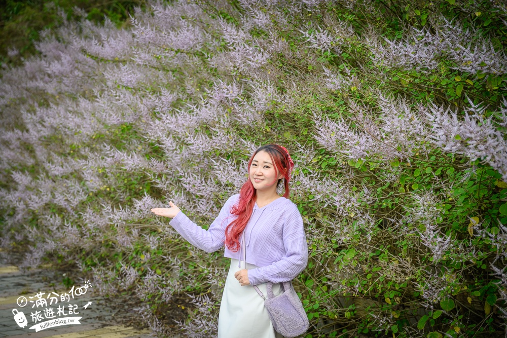 南投【清水溝溪麝香木花道】近瑞龍宮的麝香木花瀑布.麝香木花谷好震撼,綿延2公里的麝香木花道免費看!