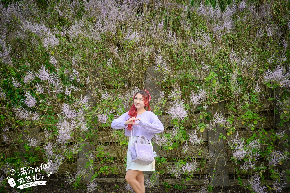南投【清水溝溪麝香木花道】近瑞龍宮的麝香木花瀑布.麝香木花谷好震撼,綿延2公里的麝香木花道免費看!