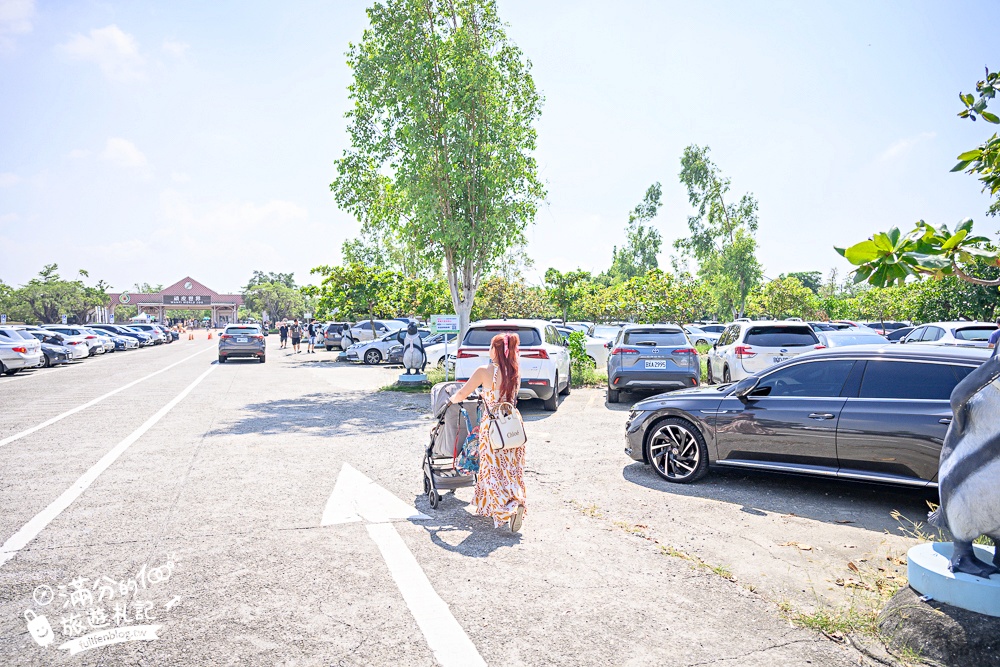 【2025台南頑皮世界野生動物園】最新門票資訊.台南必玩動物園,餵萌寵.看企鵝.玩水樂園.搭水豚列車!