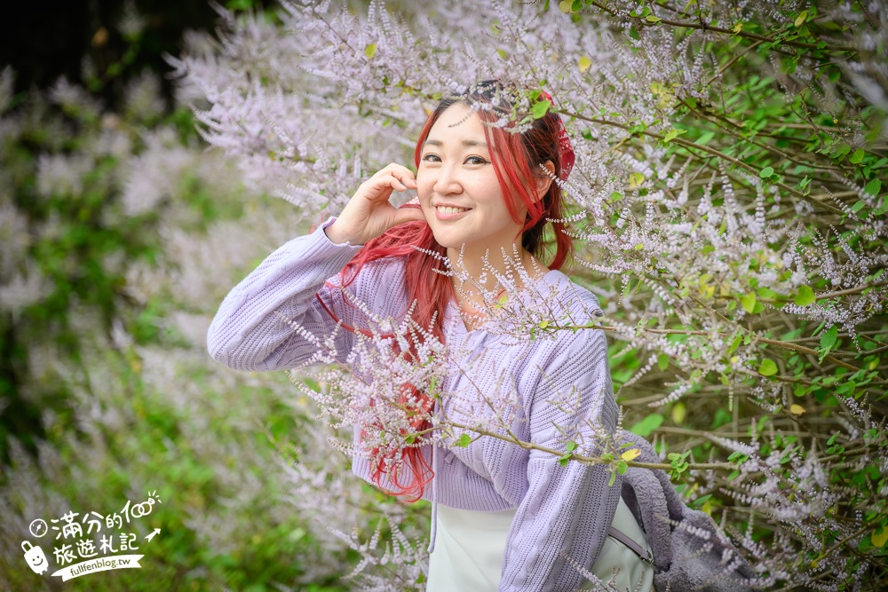 南投【清水溝溪麝香木花道】近瑞龍宮的麝香木花瀑布.麝香木花谷好震撼,綿延2公里的麝香木花道免費看!