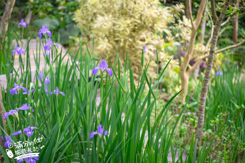 【苗栗卓也小屋】2026最新門票資訊.三義最美卓也書園子.穀倉小鎮.藍染DIY.蔬食火鍋吃到飽,花園裡的秘密小花園!