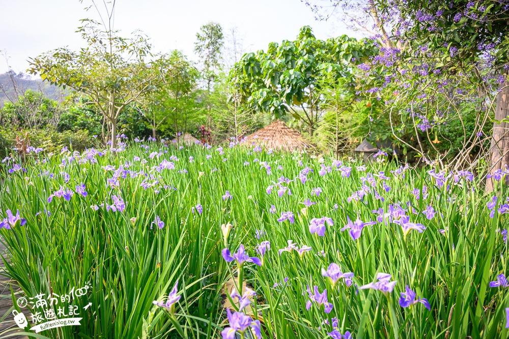 【苗栗卓也小屋】2026最新門票資訊.三義最美卓也書園子.穀倉小鎮.藍染DIY.蔬食火鍋吃到飽,花園裡的秘密小花園!