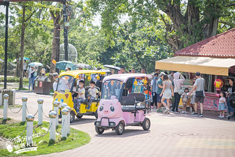 【2025台南頑皮世界野生動物園】最新門票資訊.台南必玩動物園,餵萌寵.看企鵝.玩水樂園.搭水豚列車!