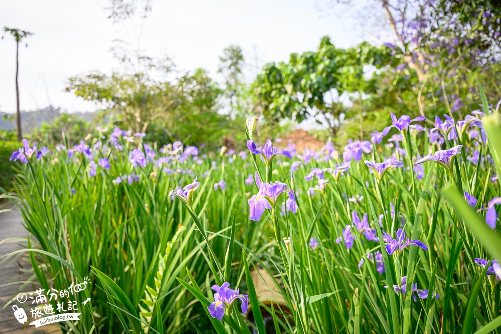 【苗栗卓也小屋】2026最新門票資訊.三義最美卓也書園子.穀倉小鎮.藍染DIY.蔬食火鍋吃到飽,花園裡的秘密小花園!