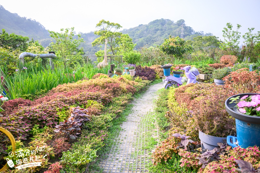 【苗栗卓也小屋】2026最新門票資訊.三義最美卓也書園子.穀倉小鎮.藍染DIY.蔬食火鍋吃到飽,花園裡的秘密小花園!