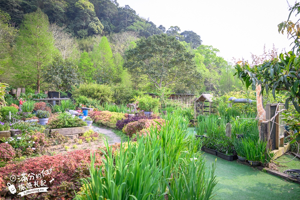 【苗栗卓也小屋】2026最新門票資訊.三義最美卓也書園子.穀倉小鎮.藍染DIY.蔬食火鍋吃到飽,花園裡的秘密小花園!