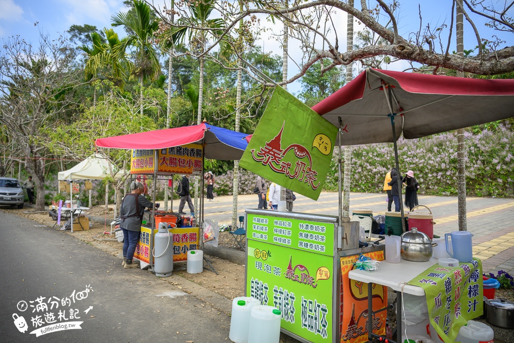 南投【清水溝溪麝香木花道】近瑞龍宮的麝香木花瀑布.麝香木花谷好震撼,綿延2公里的麝香木花道免費看!