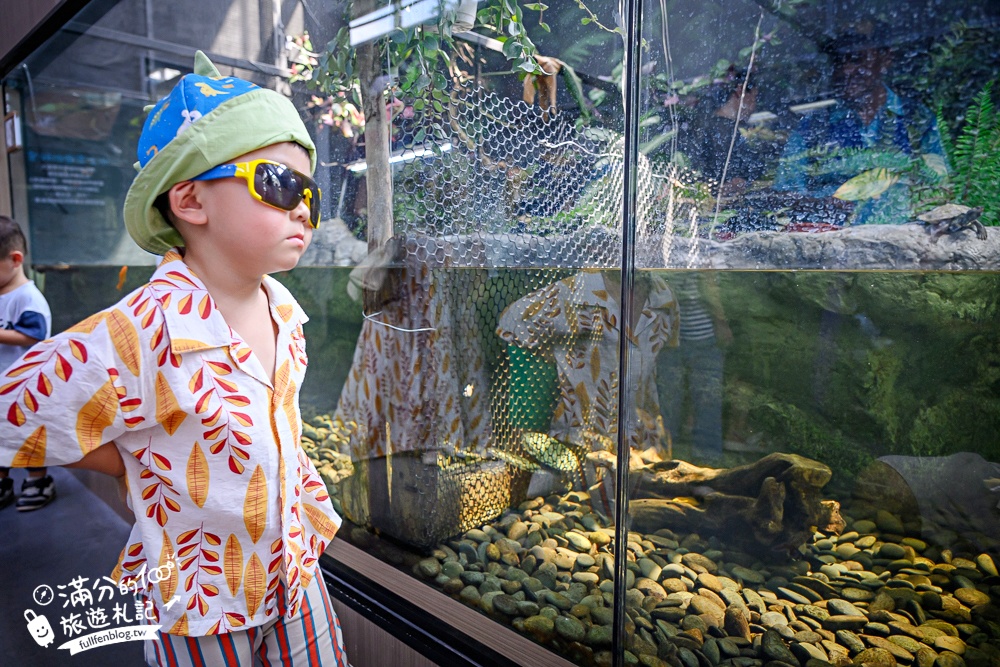 【2025台南頑皮世界野生動物園】最新門票資訊.台南必玩動物園,餵萌寵.看企鵝.玩水樂園.搭水豚列車!