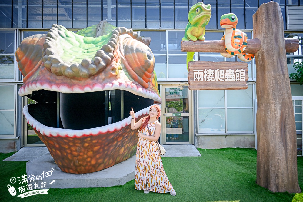 【2025台南頑皮世界野生動物園】最新門票資訊.台南必玩動物園,餵萌寵.看企鵝.玩水樂園.搭水豚列車!