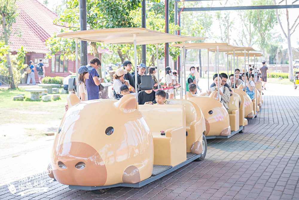 【2025台南頑皮世界野生動物園】最新門票資訊.台南必玩動物園,餵萌寵.看企鵝.玩水樂園.搭水豚列車!