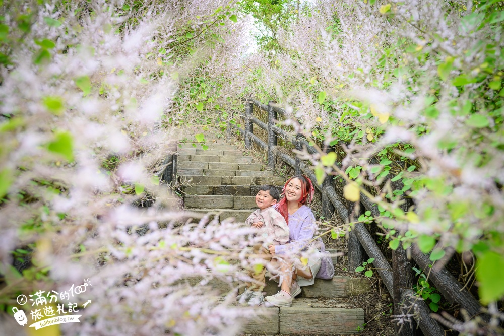 南投【清水溝溪麝香木花道】近瑞龍宮的麝香木花瀑布.麝香木花谷好震撼,綿延2公里的麝香木花道免費看!
