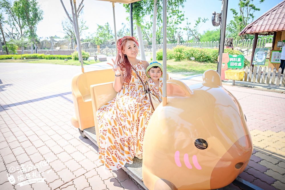 【2025台南頑皮世界野生動物園】最新門票資訊.台南必玩動物園,餵萌寵.看企鵝.玩水樂園.搭水豚列車!