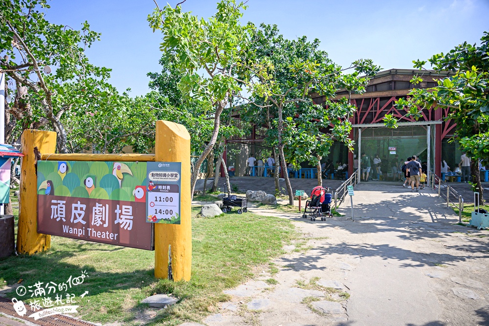【2025台南頑皮世界野生動物園】最新門票資訊.台南必玩動物園,餵萌寵.看企鵝.玩水樂園.搭水豚列車!