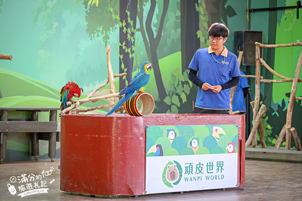 【2025台南頑皮世界野生動物園】最新門票資訊.台南必玩動物園,餵萌寵.看企鵝.玩水樂園.搭水豚列車!