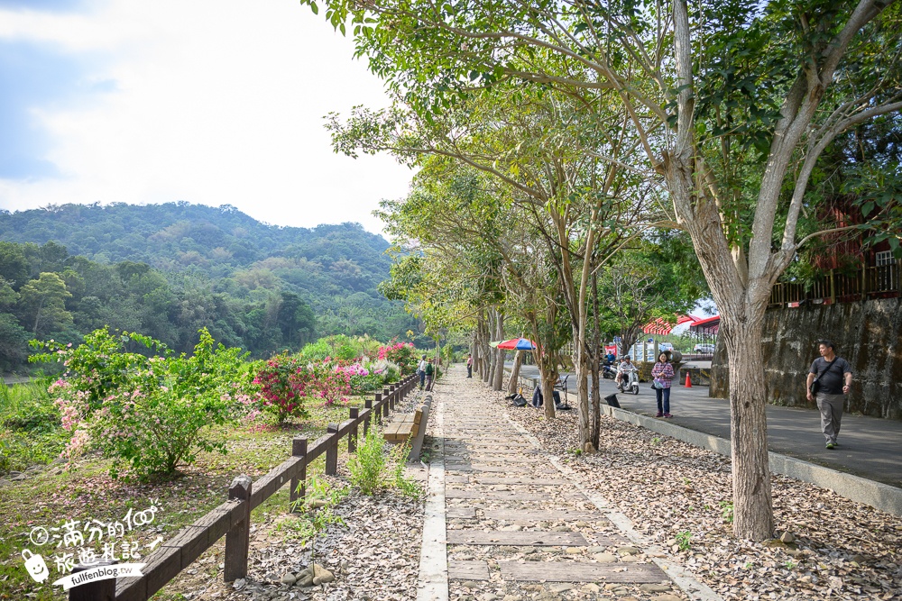 南投【清水溝溪麝香木花道】近瑞龍宮的麝香木花瀑布.麝香木花谷好震撼,綿延2公里的麝香木花道免費看!