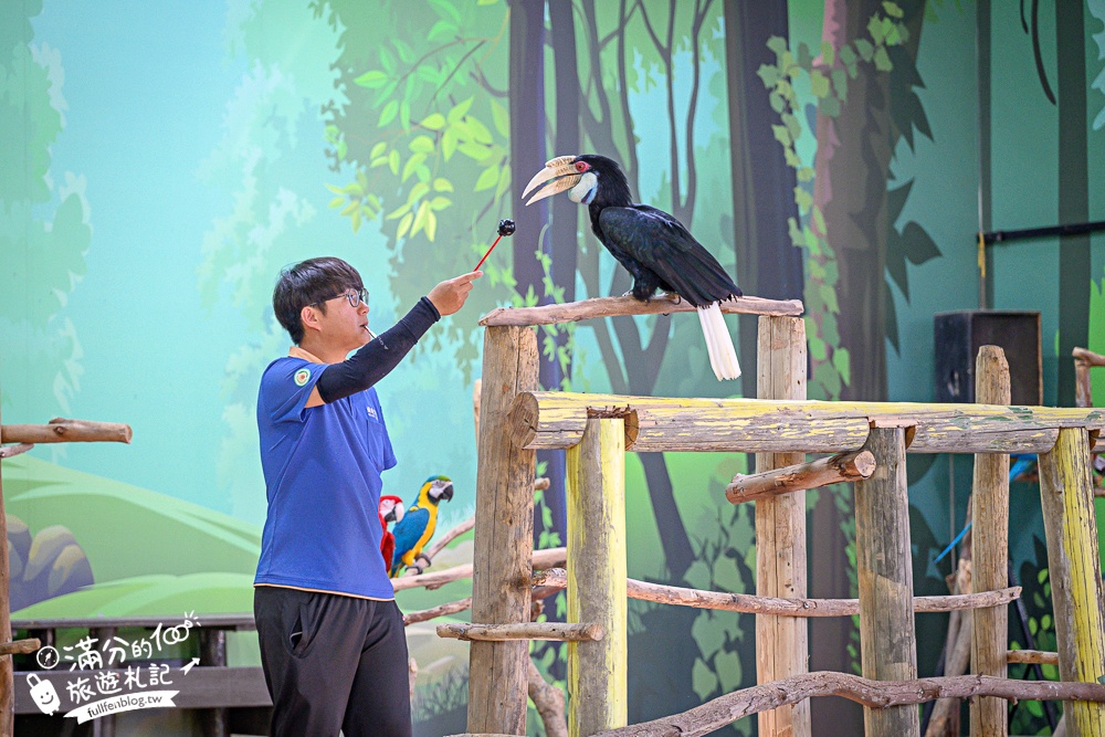 【2025台南頑皮世界野生動物園】最新門票資訊.台南必玩動物園,餵萌寵.看企鵝.玩水樂園.搭水豚列車!