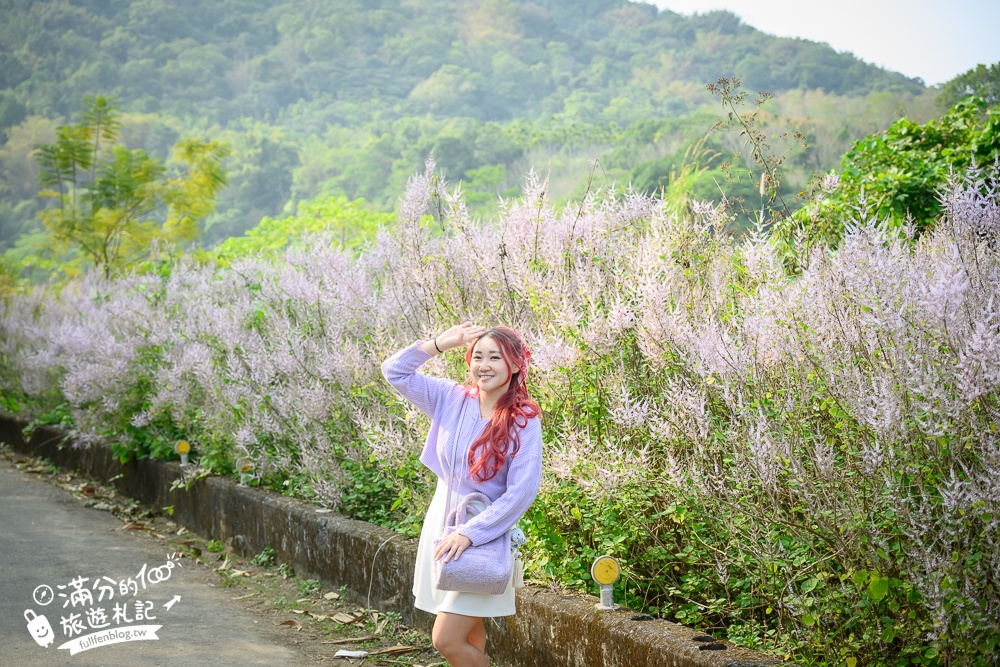 南投【清水溝溪麝香木花道】近瑞龍宮的麝香木花瀑布.麝香木花谷好震撼,綿延2公里的麝香木花道免費看!