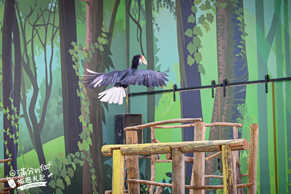 【2025台南頑皮世界野生動物園】最新門票資訊.台南必玩動物園,餵萌寵.看企鵝.玩水樂園.搭水豚列車!