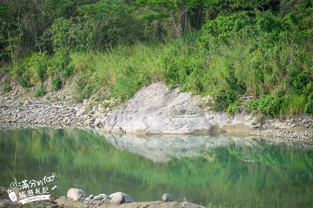 南投【清水溝溪麝香木花道】近瑞龍宮的麝香木花瀑布.麝香木花谷好震撼,綿延2公里的麝香木花道免費看!