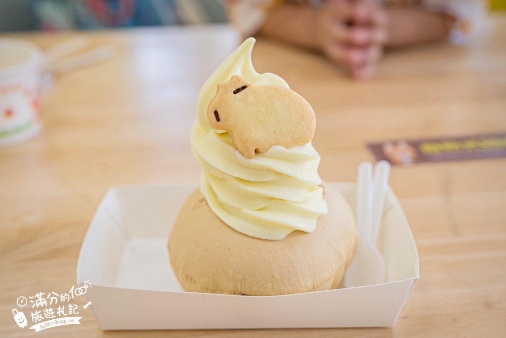 【2025台南頑皮世界野生動物園】最新門票資訊.台南必玩動物園,餵萌寵.看企鵝.玩水樂園.搭水豚列車!