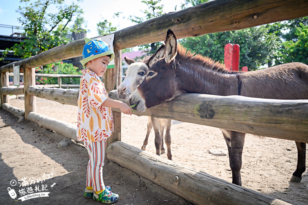 【2025台南頑皮世界野生動物園】最新門票資訊.台南必玩動物園,餵萌寵.看企鵝.玩水樂園.搭水豚列車!
