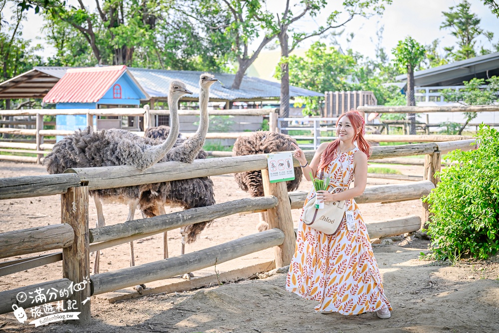 【2025台南頑皮世界野生動物園】最新門票資訊.台南必玩動物園,餵萌寵.看企鵝.玩水樂園.搭水豚列車!