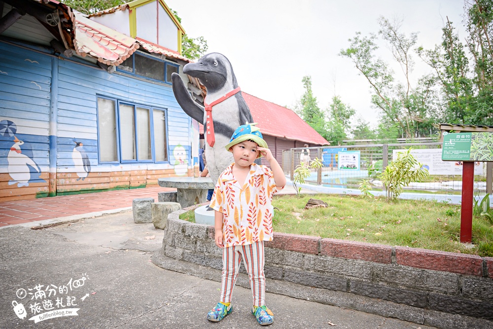 【2025台南頑皮世界野生動物園】最新門票資訊.台南必玩動物園,餵萌寵.看企鵝.玩水樂園.搭水豚列車!