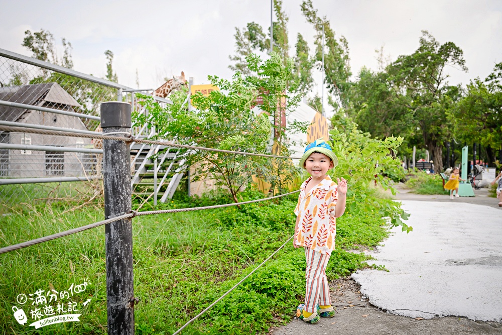 【2025台南頑皮世界野生動物園】最新門票資訊.台南必玩動物園,餵萌寵.看企鵝.玩水樂園.搭水豚列車!