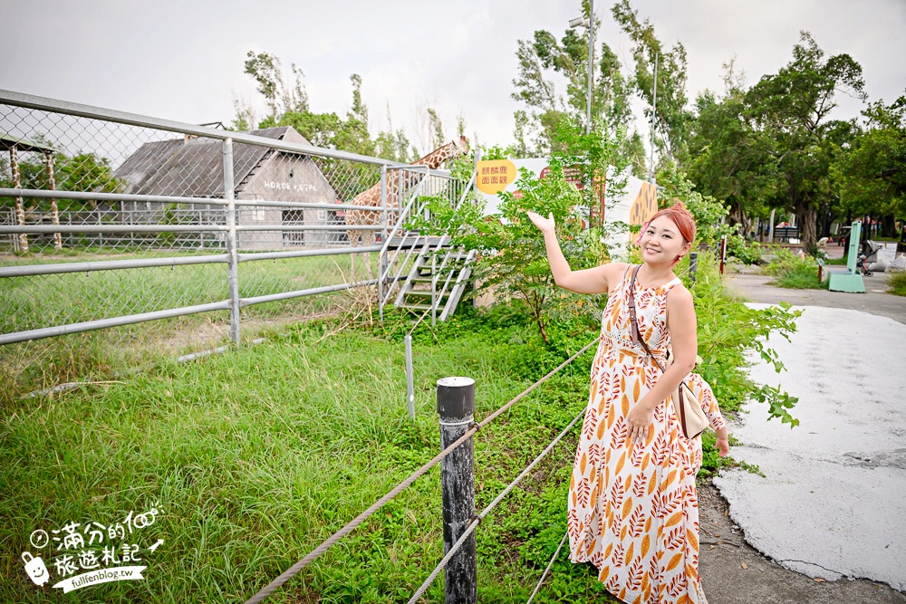 【2025台南頑皮世界野生動物園】最新門票資訊.台南必玩動物園,餵萌寵.看企鵝.玩水樂園.搭水豚列車!