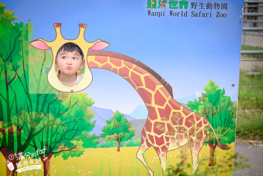 【2025台南頑皮世界野生動物園】最新門票資訊.台南必玩動物園,餵萌寵.看企鵝.玩水樂園.搭水豚列車!