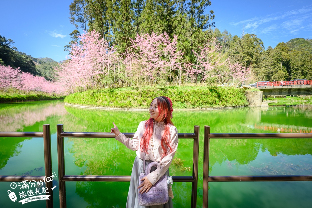 【2025杉林溪櫻花季玩樂攻略】南投杉林溪最美湖景櫻花&最新門票遊園接駁車資訊~杉林溪TOP3賞櫻人像拍照點!
