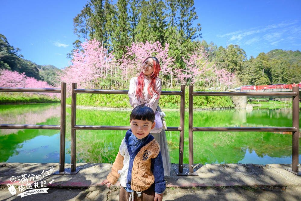 【2025杉林溪櫻花季玩樂攻略】南投杉林溪最美湖景櫻花&最新門票遊園接駁車資訊~杉林溪TOP3賞櫻人像拍照點!