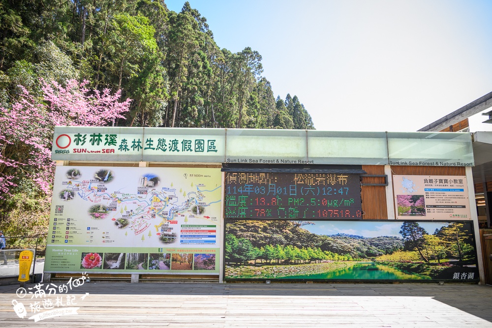 【2025杉林溪櫻花季玩樂攻略】南投杉林溪最美湖景櫻花&最新門票遊園接駁車資訊~杉林溪TOP3賞櫻人像拍照點!