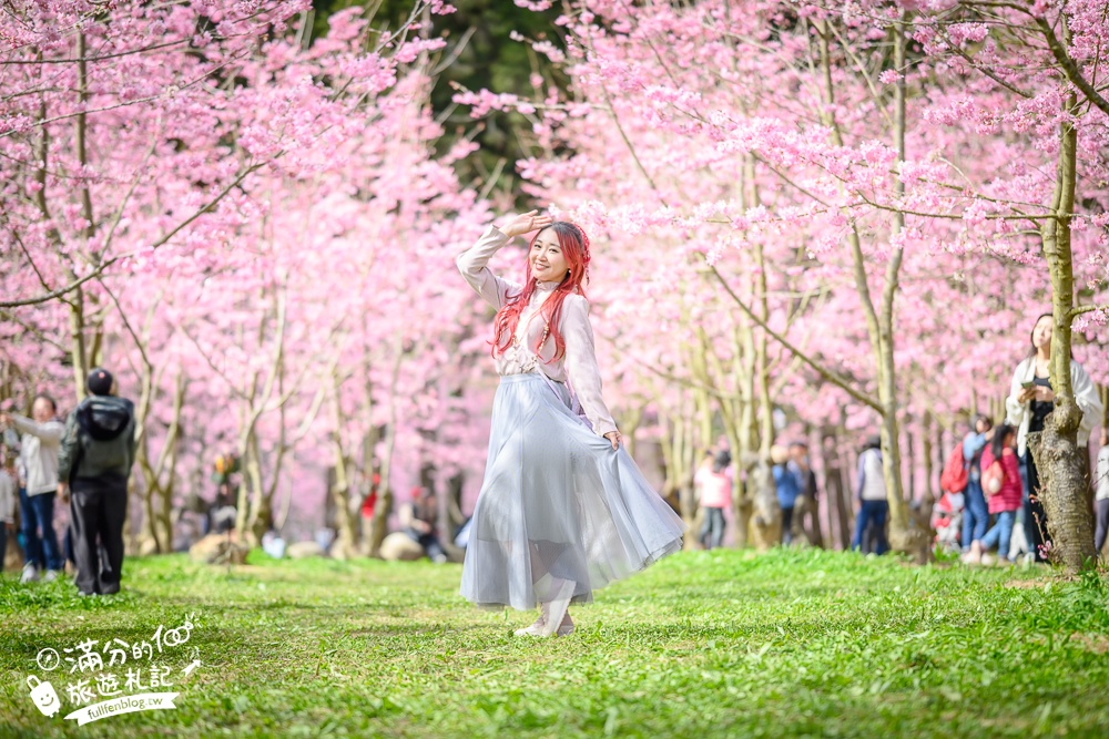 【2025杉林溪櫻花季玩樂攻略】南投杉林溪最美湖景櫻花&最新門票遊園接駁車資訊~杉林溪TOP3賞櫻人像拍照點!